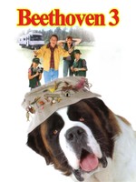 Beethoven 3