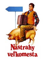 Nástrahy veľkomesta