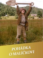 Pohádka o Malíčkovi