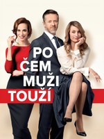 Po čem muži touží