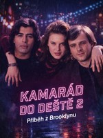 Kamarád do deště 2 - Příběh z Brooklynu