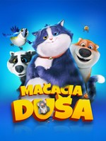Mačacia duša