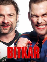 Bitkár
