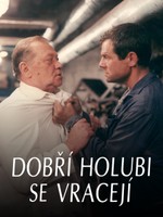 Dobří holubi se vracejí