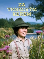 Za trnkovým keřem