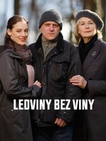 Ledviny bez viny