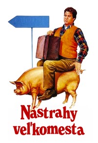 Nástrahy veľkomesta