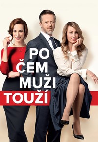 Po čem muži touží