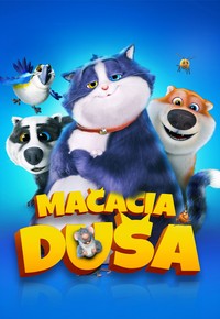 Mačacia duša
