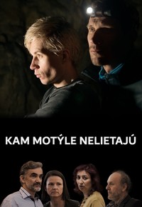 Kam motýle nelietajú