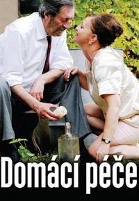 Domácí péče
