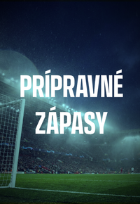 Príprava pred MS 2026