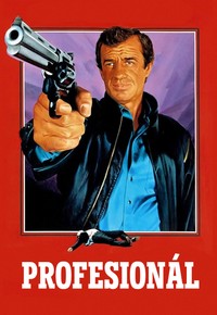 Profesionál