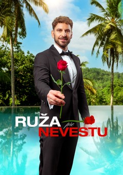 Ruža pre nevestu
