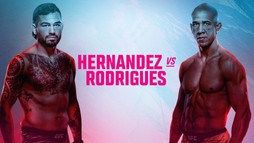 UFC Fight Night: Hernandez vs. Rodrigues