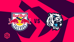 Red Bull Salzburg – Bílí Tygři Liberec
