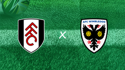 Fulham FC – AFC Wimbledon
