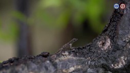 28. epizóda