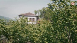 41. epizóda