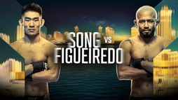 UFC Fight Night: Song vs. Figueiredo