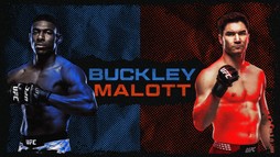 UFC Fight Night: Buckley vs. Malott