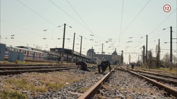 113. epizóda
