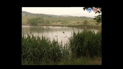 49. epizóda