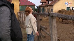 33. epizóda