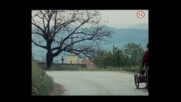 Drahé tety a já
