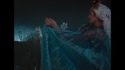 Šípová Ruženka